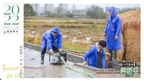 吃瓜种地视频教学,学生们的田园实践之旅