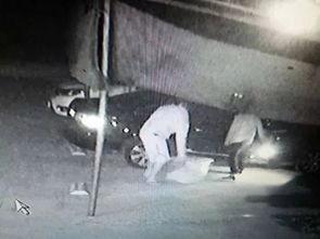 惠州吃瓜事件视频,一场网络热议的真相揭秘