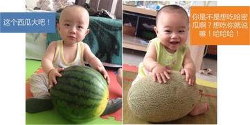 河南哥俩吃瓜,一场别开生面的夏日盛宴