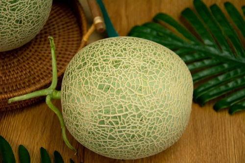 1岁可以吃网纹瓜