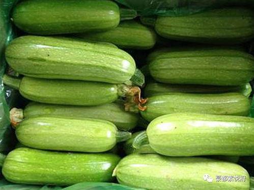 吃地瓜可以吃茭瓜吗,能否共享餐桌的美食探索