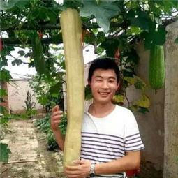 小伙看到女友吃瓜