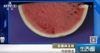 吃瓜不吐西瓜瓤,揭秘网络热议背后的真相与趣味