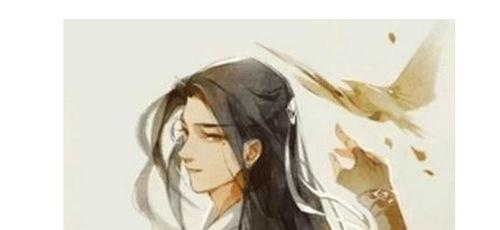 吃瓜阴阳秦羽,阴阳秦羽背后的神秘故事