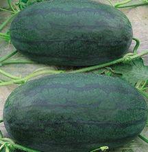 山东高密命案吃瓜,真相背后，吃瓜群众如何解读悬疑谜团