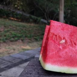 吃瓜累了的图片