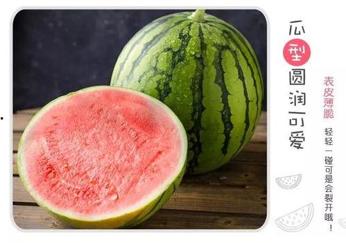 吃瓜界冠军,瓜界风云人物深度解析