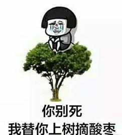 吃瓜表情包圆图,趣味横生的网络文化缩影