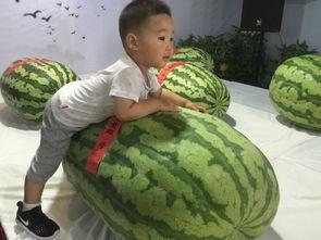 微山商场吃瓜群众事件,一场引发社会关注的网络热议