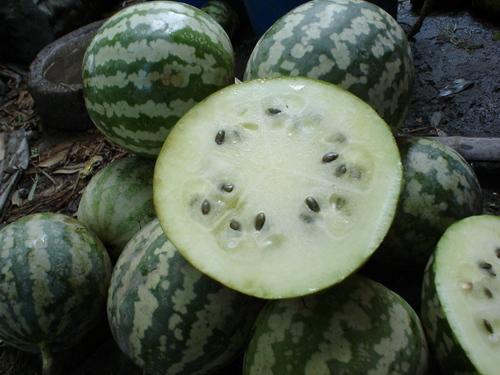 吃瓜如何,一场全民参与的娱乐盛宴