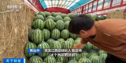 吃瓜宝盒,带你领略美食与娱乐的完美融合